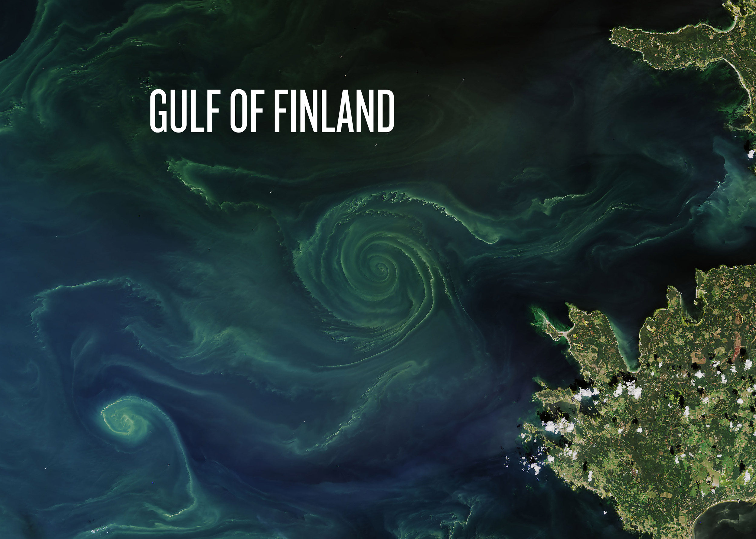 gulf_fin